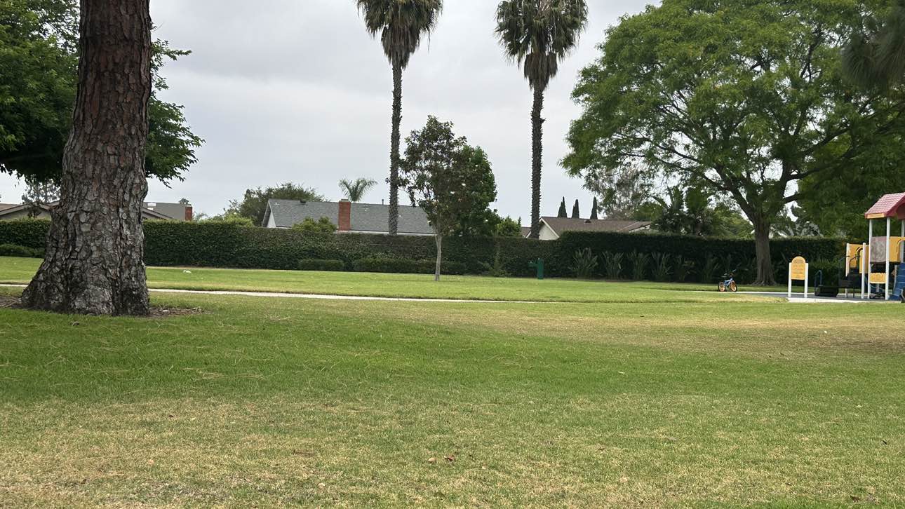 walking near me in Rosen/Acacia Park in summer