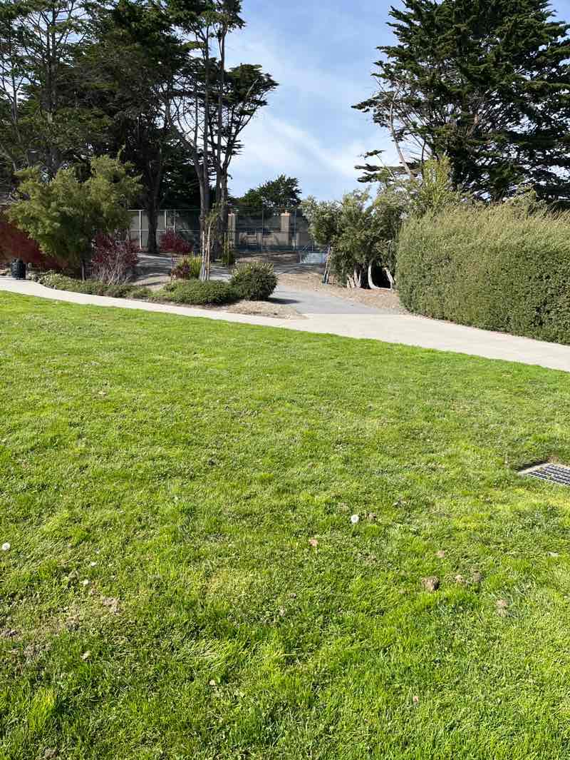 walking near me in Westborough Park in spring