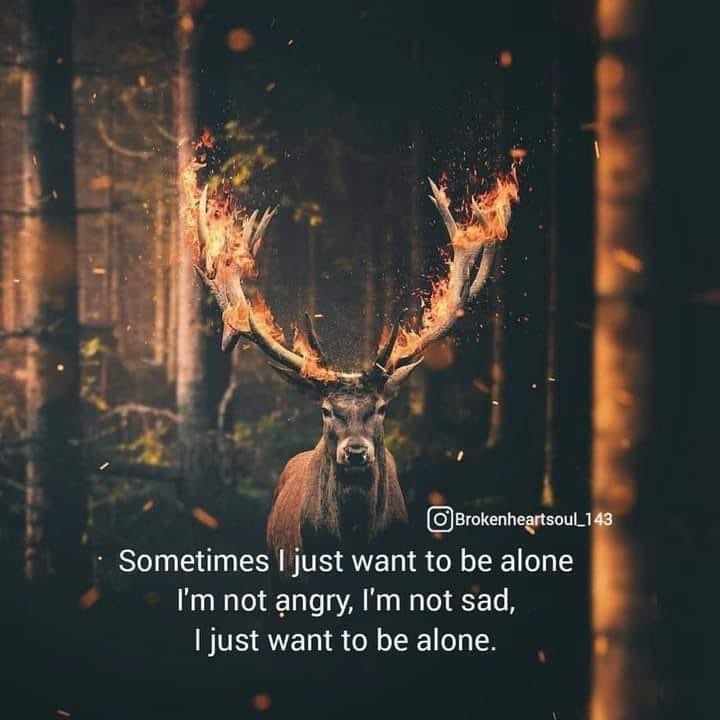 🌎ACROSS THE WORLD🌎 Anne-Lie post image