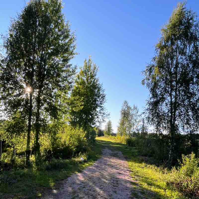 🐞SHORT WALKS🐞 Anne-Lie post image