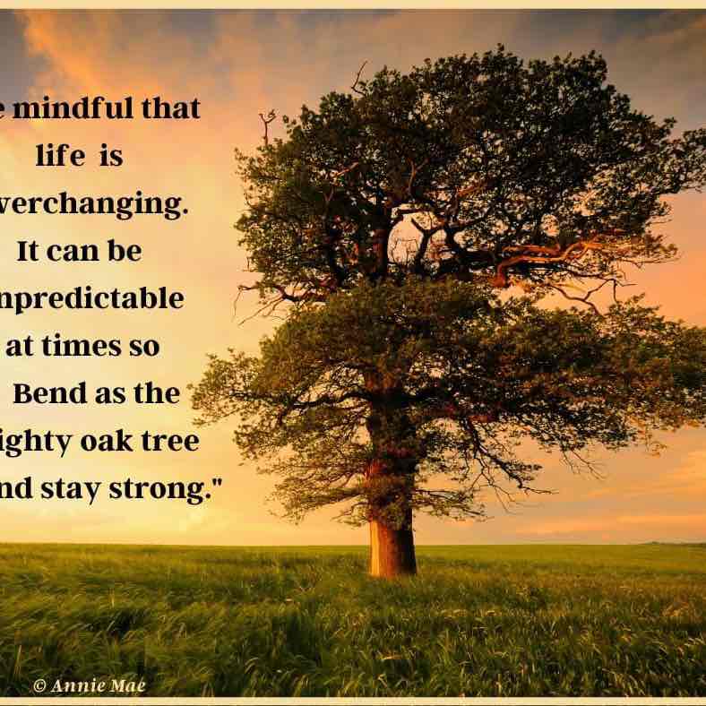 😍BEAUTIFUL MIND😍 Anne-Lie post image