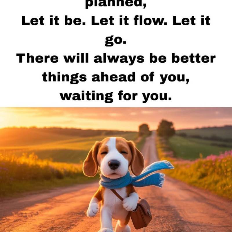 I ❤️ My Pets Anne-Lie post image