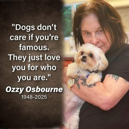 Off The Chain Anne-Lie post image