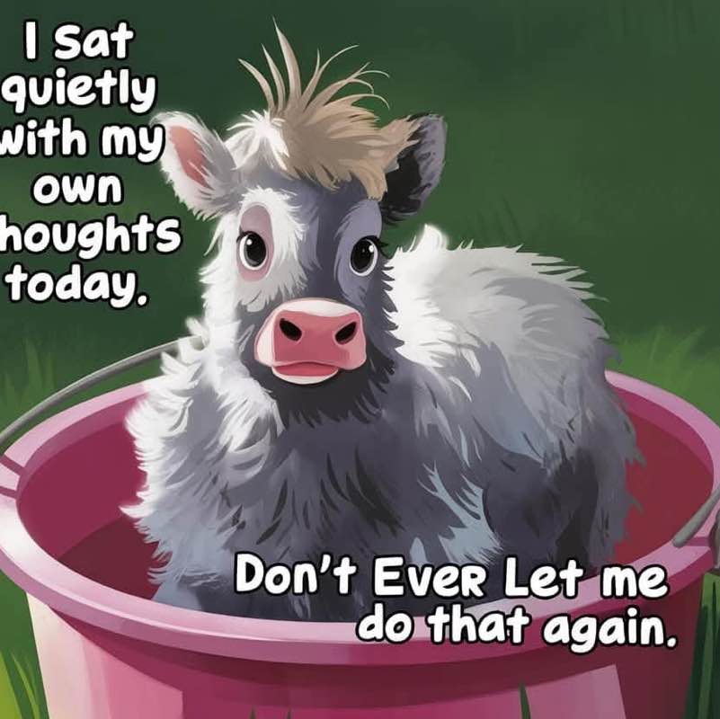 Off The Chain Anne-Lie post image