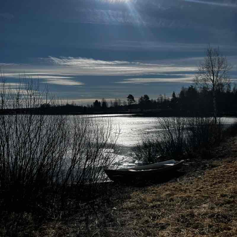 Happy laughing times😂😜😂🌺 Anne-Lie post image