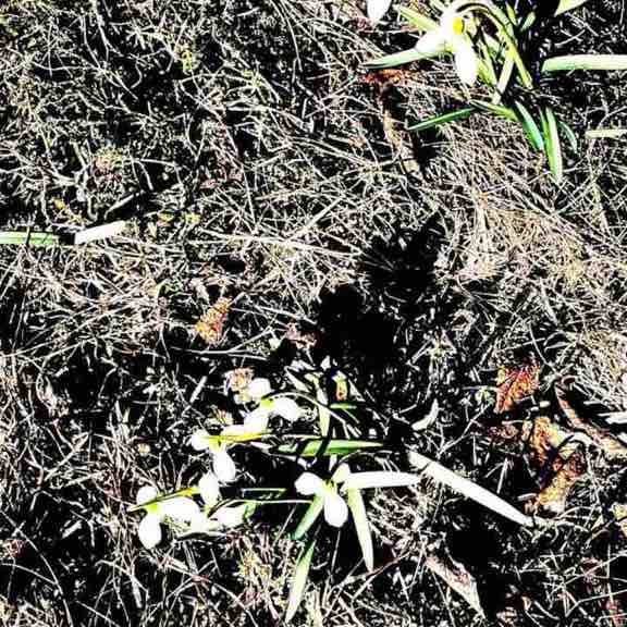 Happy laughing times😂😜😂🌺 Anne-Lie post image