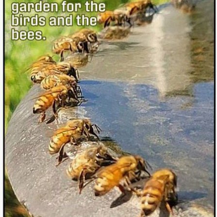 August Group Challenge T͓̽R͓̽E͓̽V͓̽ post image