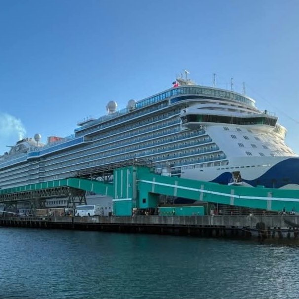 January Group Challenge T͓̽R͓̽E͓̽V͓̽ post image