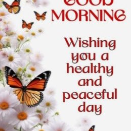 Australia Group T͓̽R͓̽E͓̽V͓̽ post image