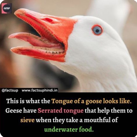 January Group Challenge T͓̽R͓̽E͓̽V͓̽ post image