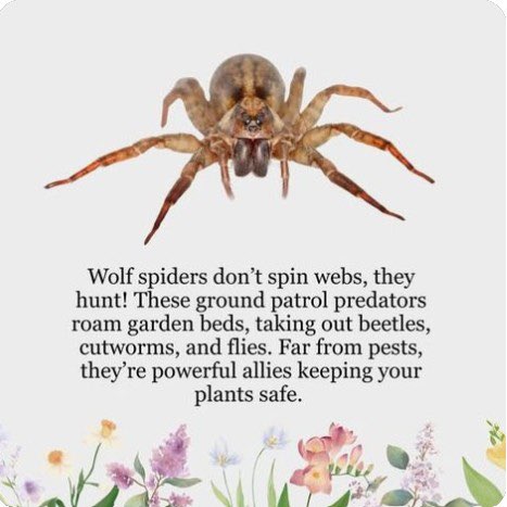 November Group Challenge T͓̽R͓̽E͓̽V͓̽ post image