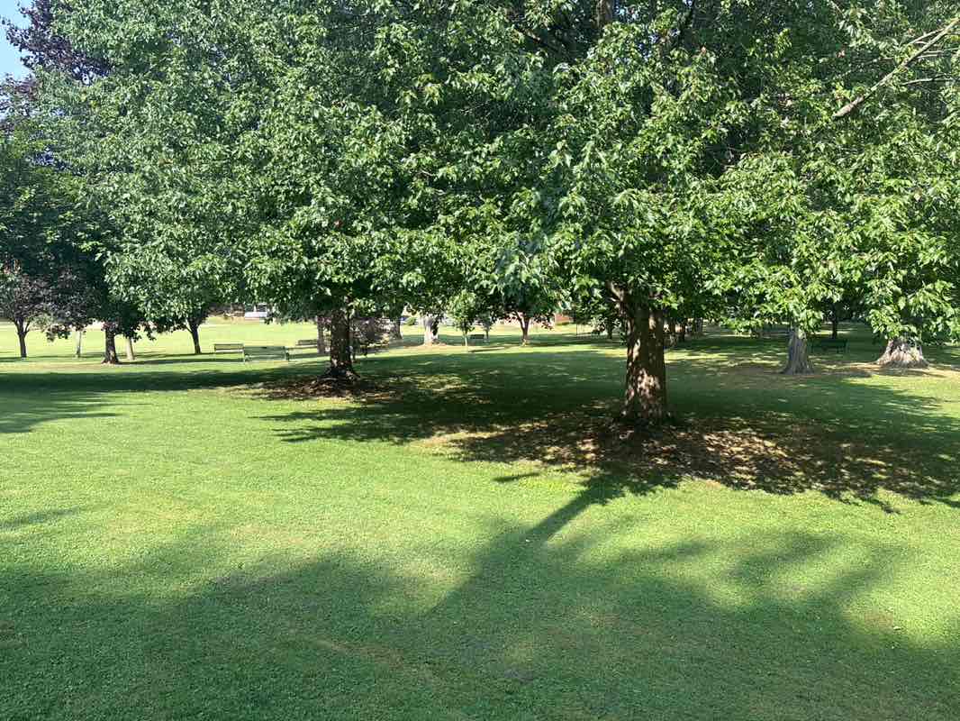 walking near me in Edmund Lyon Park in autumn
