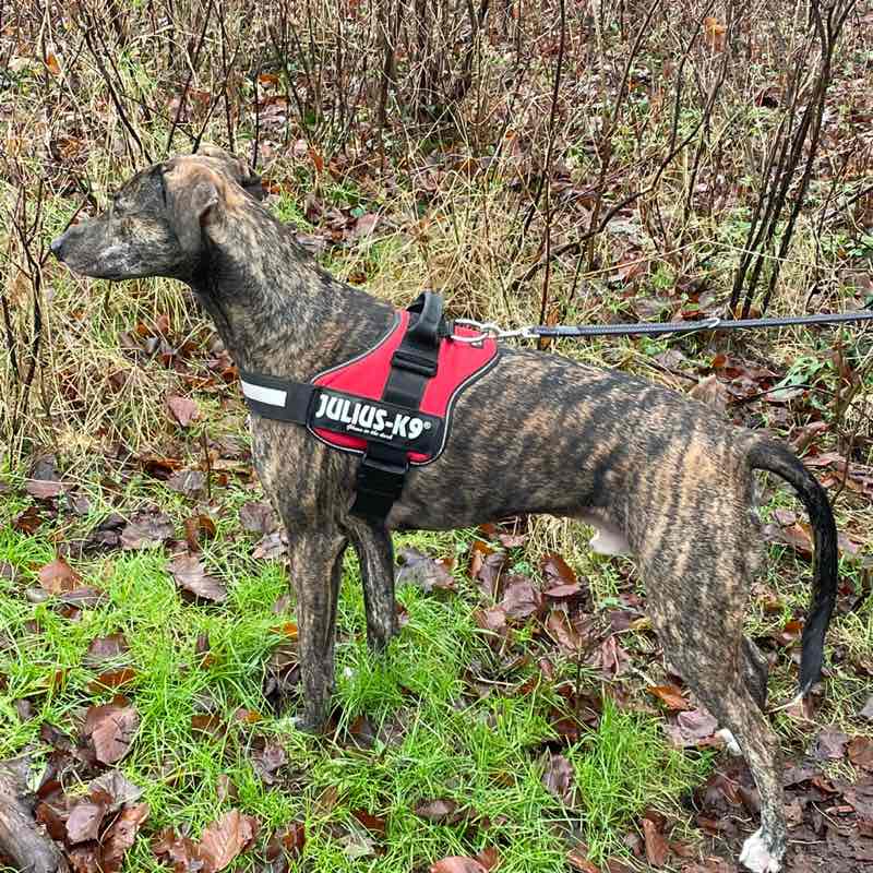 ☕Tamara☕ profile