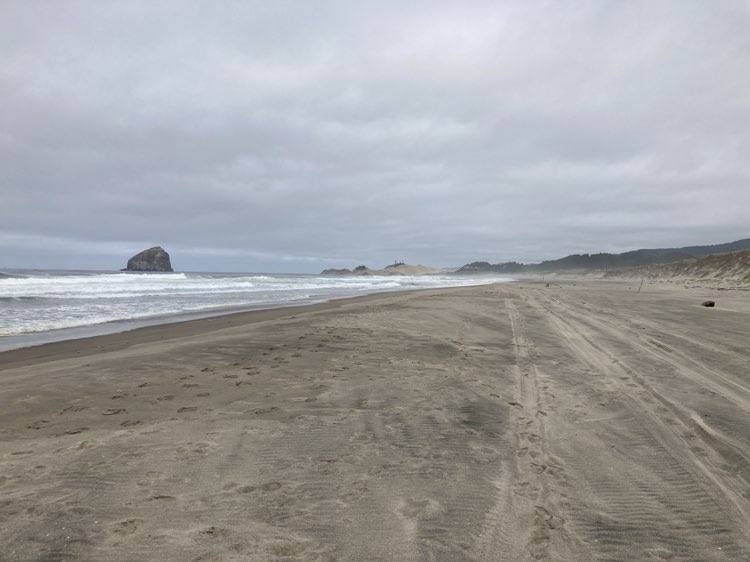walking near me in Bob Straub State Park in autumn
