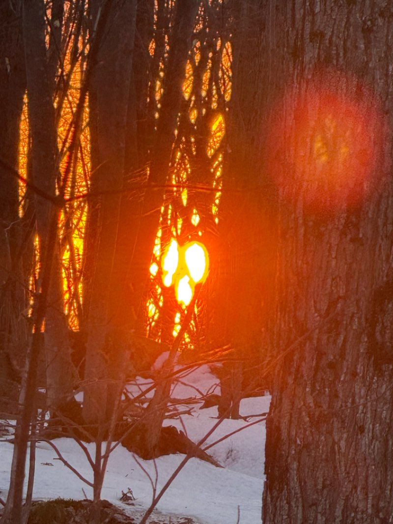 walking near me in Parc Terry-Fox in spring