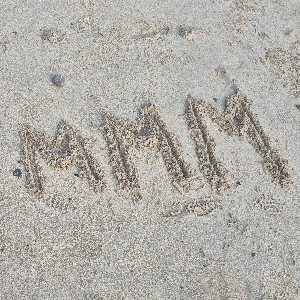 Mirna icon