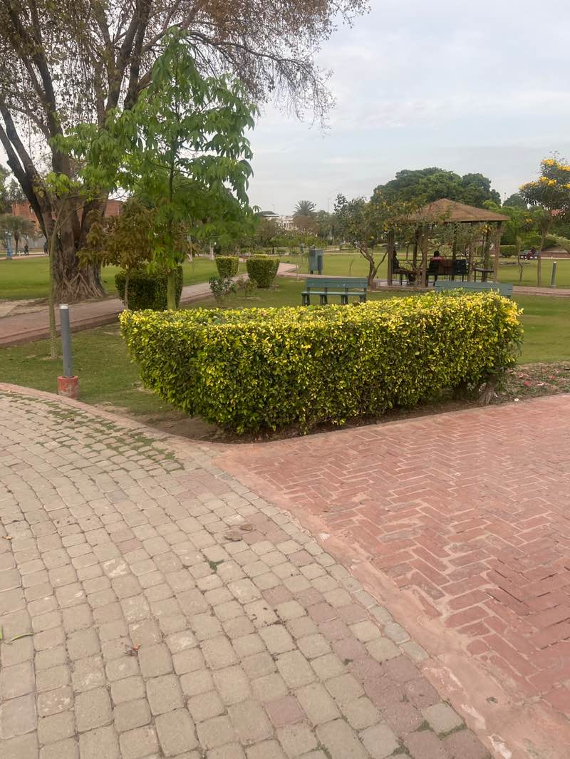 walking near me in Sheeba Park in spring