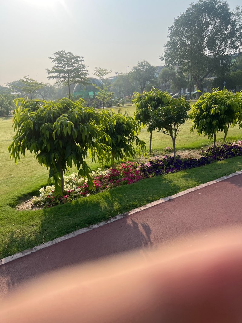walking near me in Sheeba Park in spring