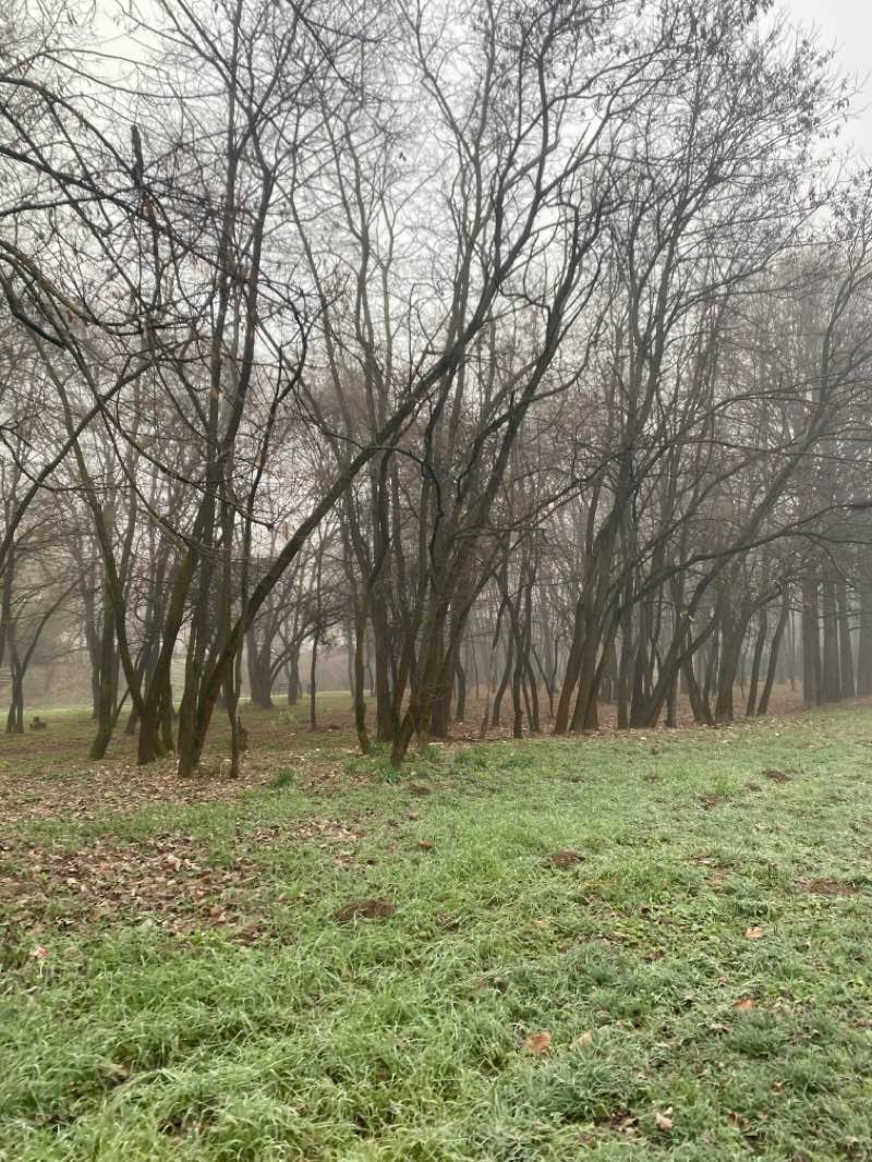 walking near me in Taukbahçe in winter