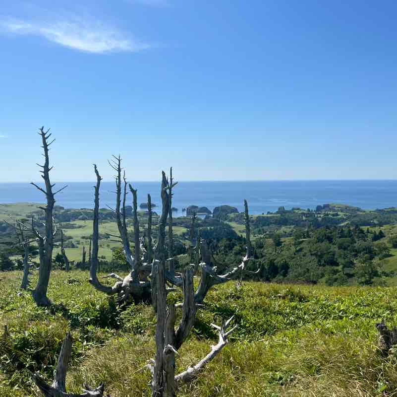 Александр post 3