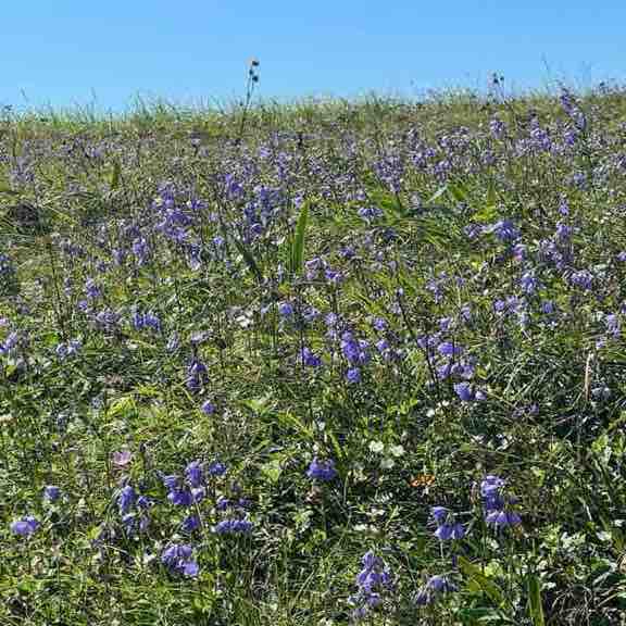 Александр post 2