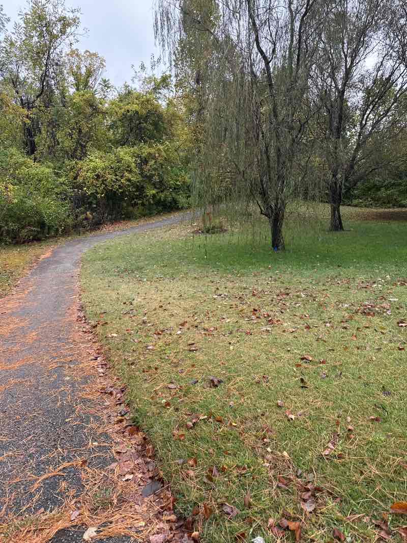 walking near me in Spencer Creek Park in autumn
