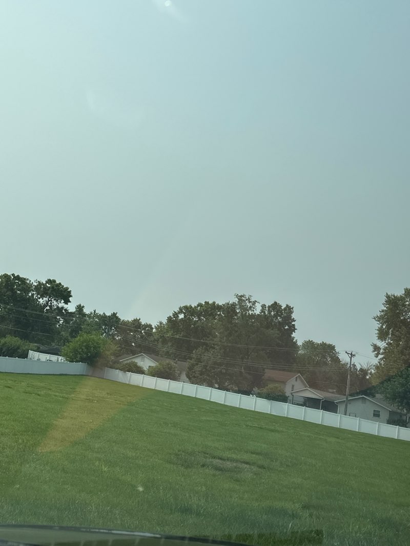 walking near me in Brookmont Dog Park in summer