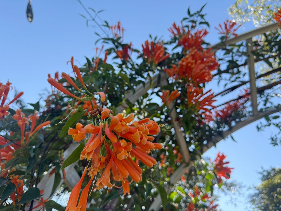 walking near me in Bogyoke Park in autumn