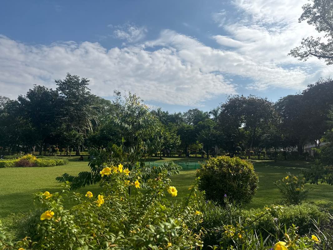 walking near me in Insein Park in winter