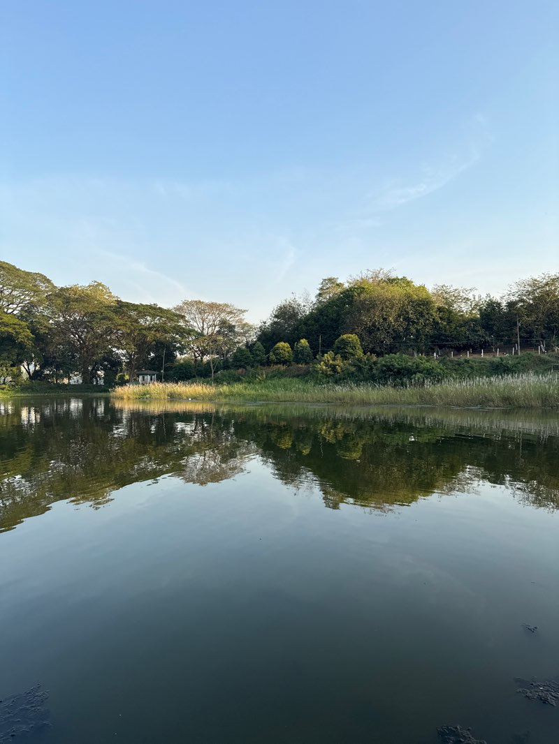 walking near me in Sein Lan So Pyay in winter