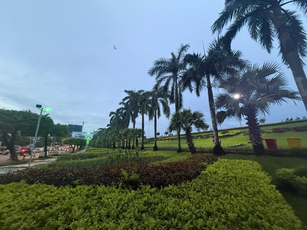 walking near me in Inya Lake Pyay Road Bank in autumn
