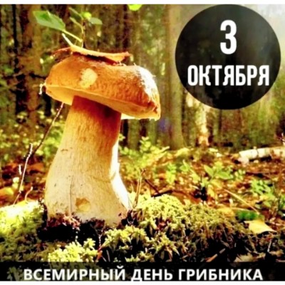 LEMON_i_SLIWA 🍋Aleh Haiduk🍋 post image