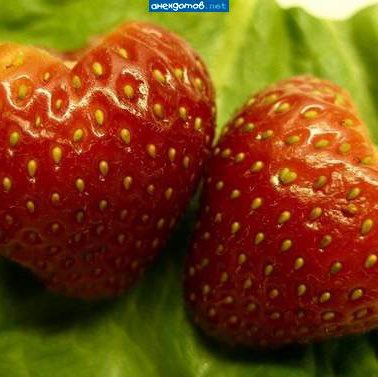 Ходим быстрым шагом 🇷🇺🎖🏆🥇🔥 🇷🇺 Владимир 🇷🇺🏕🏝🏖🥇🏆🎖🪂🦂👍✊😍💪 post image