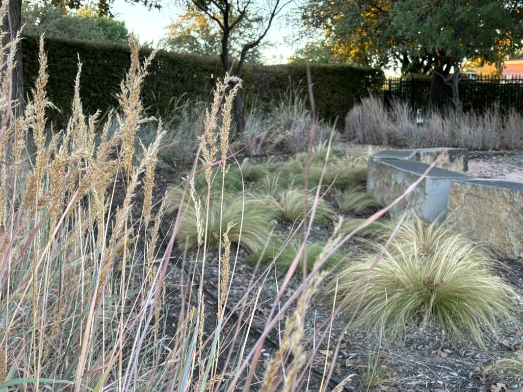 walking near me in Coppell Ampitheater in autumn
