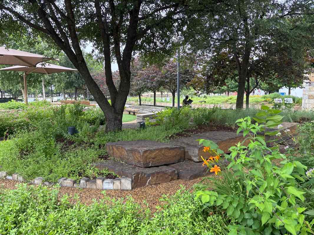 walking near me in Wayne Ferguson Plaza in summer