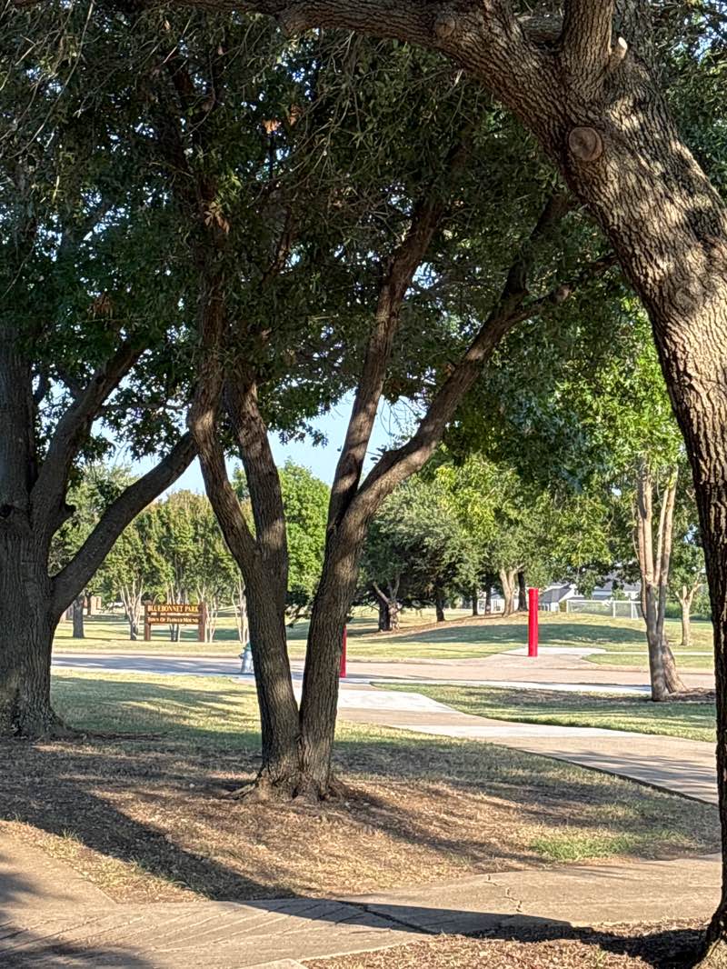 walking near me in Bluebonnet Park in autumn