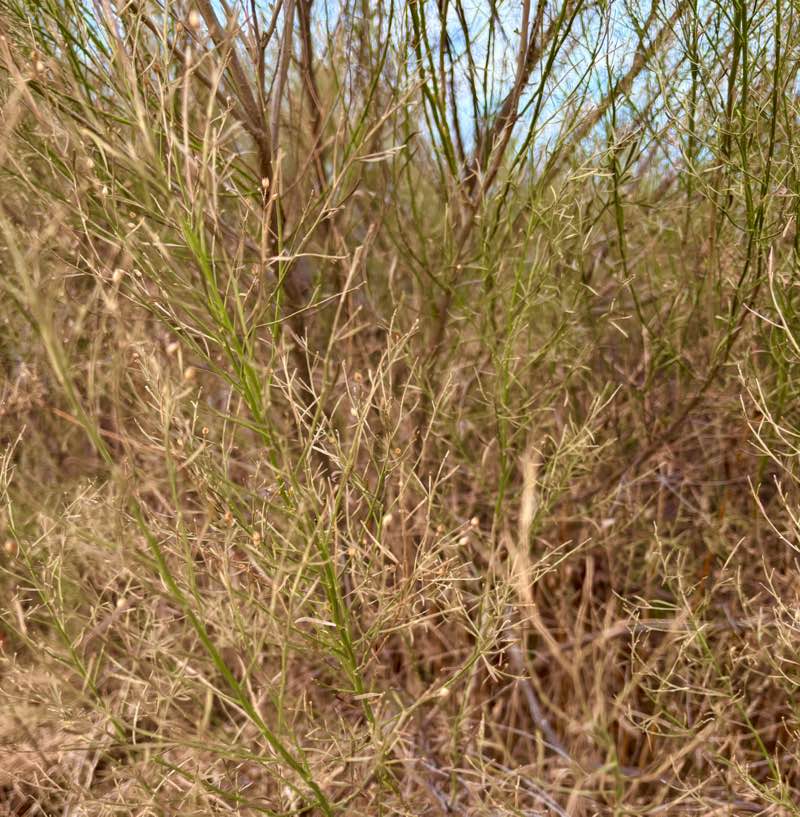 walking near me in Wagon Wheel Park in winter