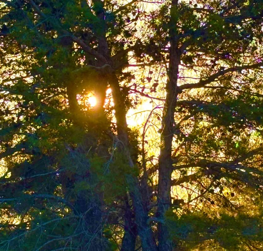 walking near me in Wagon Wheel Park in spring