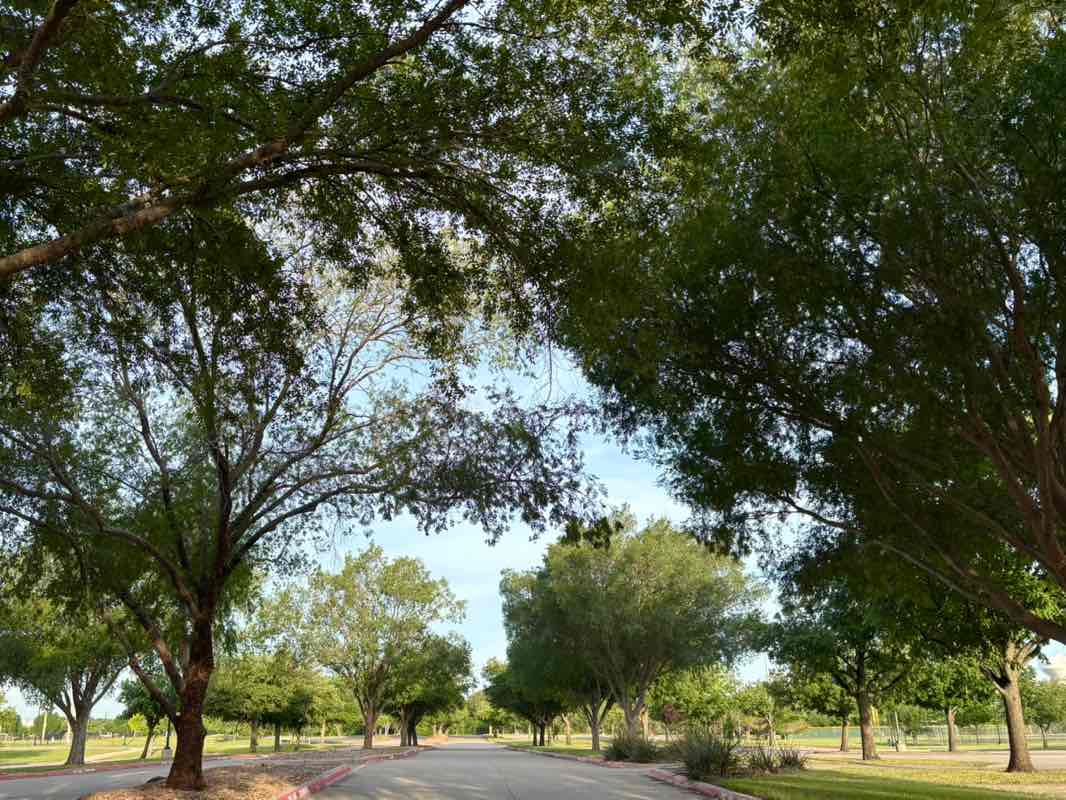 walking near me in Wagon Wheel Park in spring