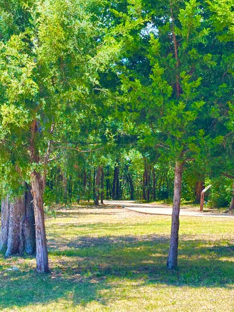 walking near me in Heritage Park of Flower Mound in summer