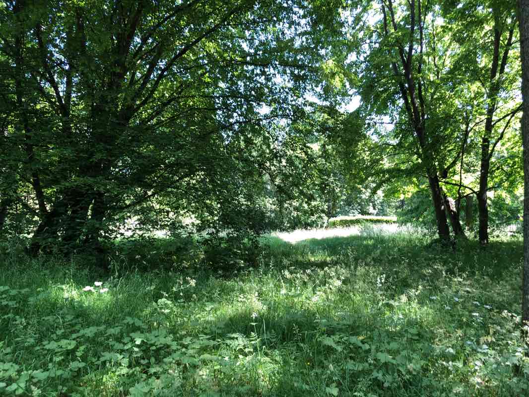 walking near me in Park Rosenhöhe in winter