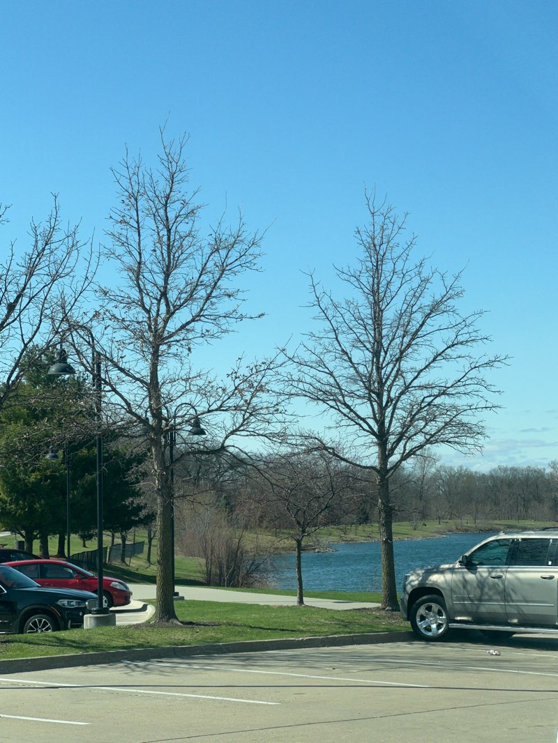 walking near me in Copper Creek Lake Park in spring