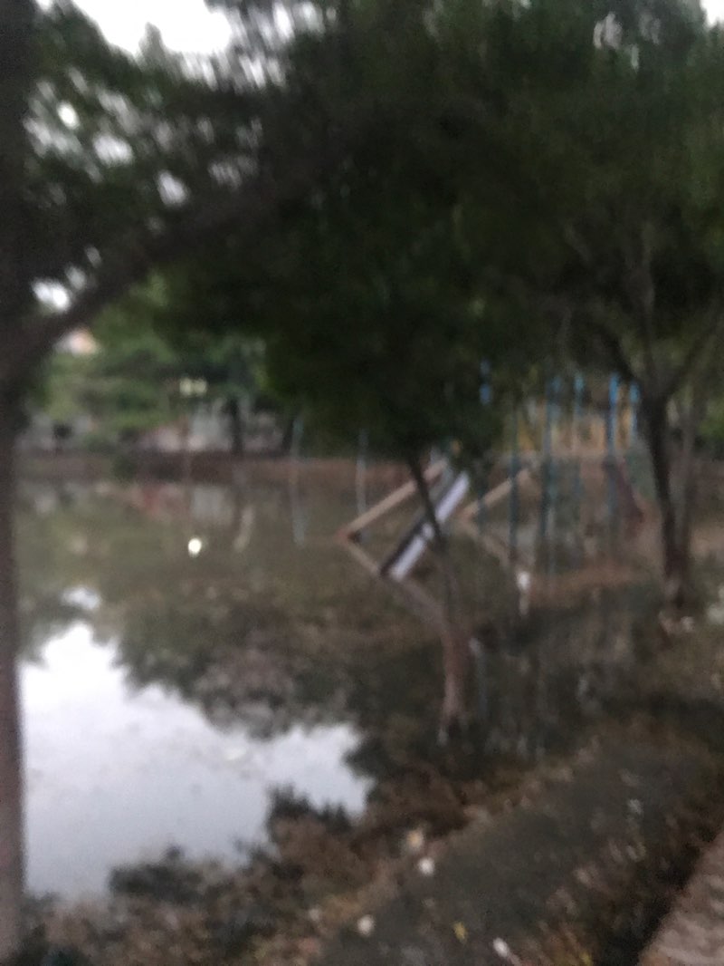 walking near me in Chudary Rehmat Park in autumn