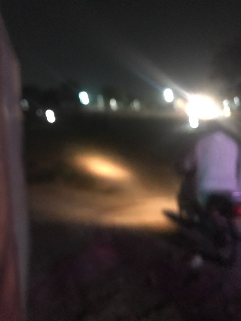 walking near me in Crescent Park in spring