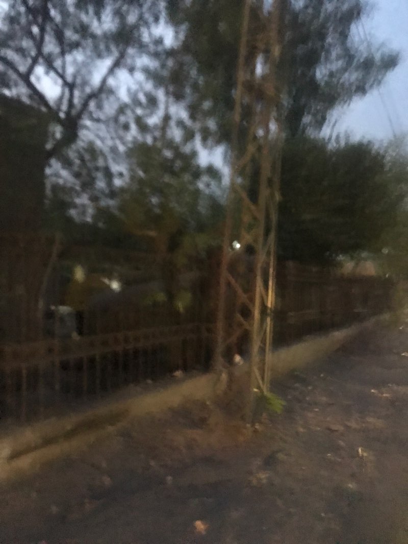 walking near me in Kaleem Shaheed Park in summer