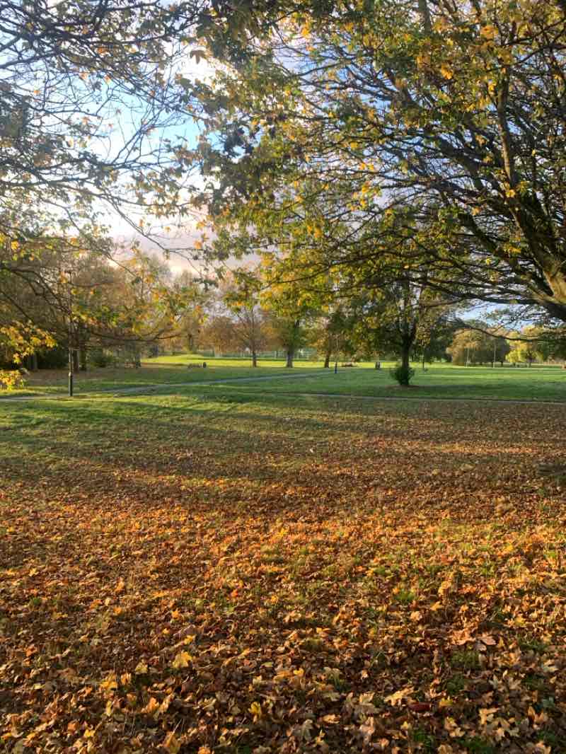 walking near me in Roe Green Park in autumn
