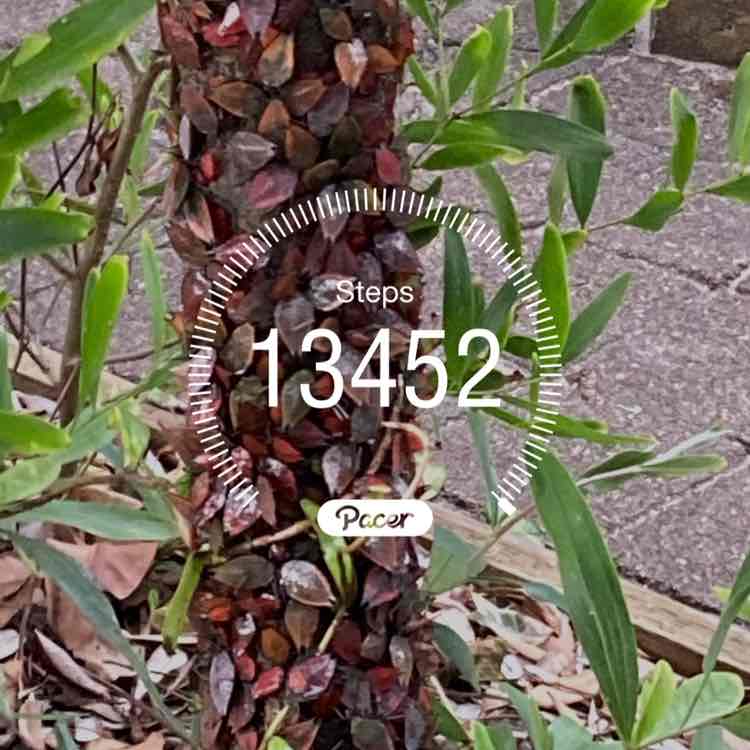 Annette 🇦🇺🌼🐶🐾 post 1