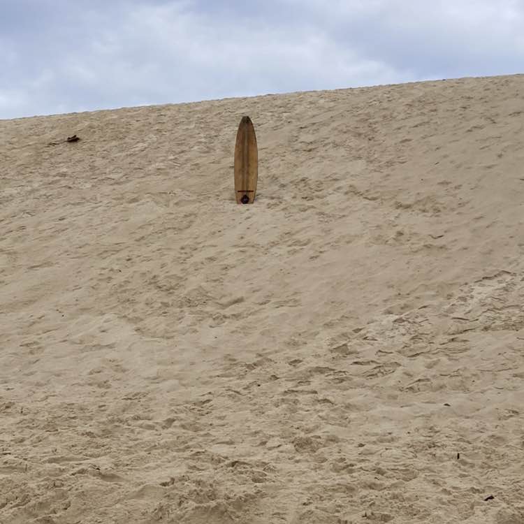 Annette 🇦🇺🌼🐶🐾 post 1