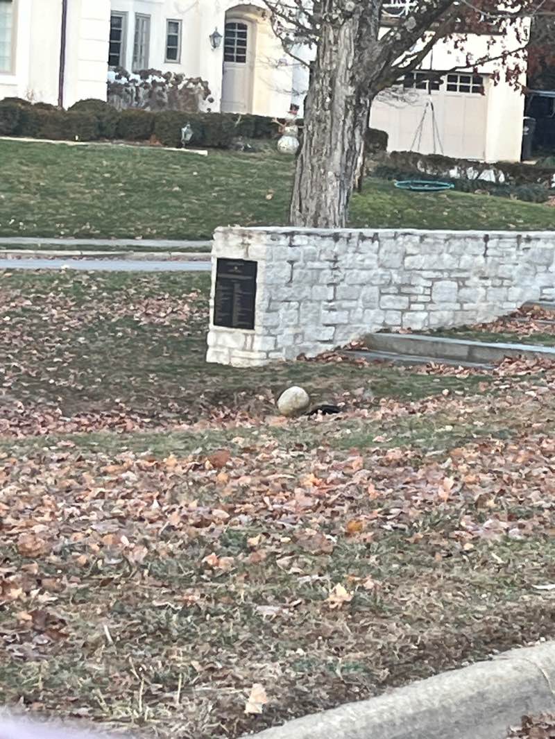 walking near me in Jack Nicklaus Park in winter