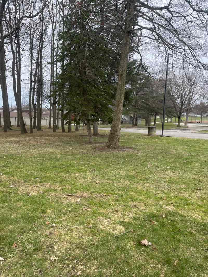 walking near me in Heintz Hillcrest Park in spring